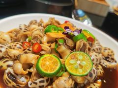 泰椒蒜子浸花螺-富淳饭店(陆家嘴保利广场店)