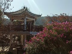 -广州市石门国家森林公园