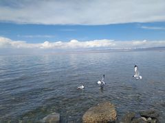 -青海湖国家重点风景名胜区