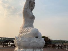 -荷塘月色湿地公园·向阳花洲