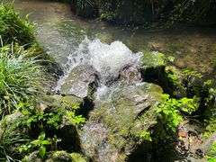 -杭州花家山庄