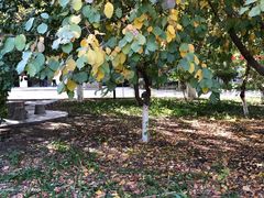 -哈密回王府景区