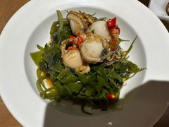 海带苗拌扇贝-波螺油子青岛本帮菜(银座店)