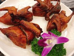 红烧脆皮鸽-鸽鸟轩(石岐店)