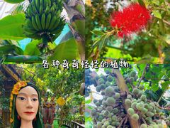 -呀路古热带植物园