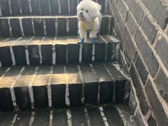 -白羊峪长城旅游区