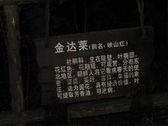 -峡谷浮石林景区