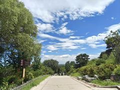 -北京西山国家森林公园