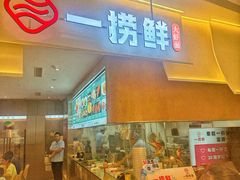 -小麦岛公园