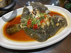 清蒸多宝鱼-正阳春烤鸭店(杨楼店)