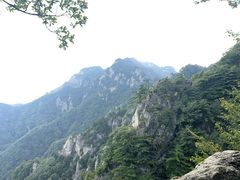 -王顺山国家森林公园