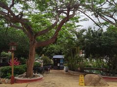 -江门古兜温泉小镇
