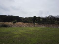 -艾溪湖湿地公园