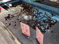 -台山第一家兴华黄鳝饭·黄鳝婆(开平店)