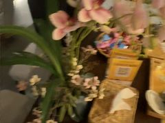 -施奈儿.洗头頭療.按摩SPA.采耳(上梅林店)