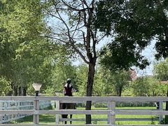 -北京群众马术培训基地