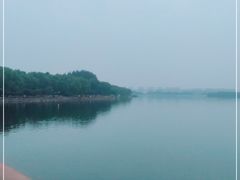 -丁香湖公园