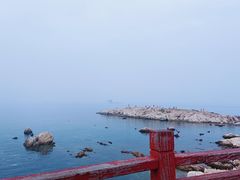 -养马岛旅游度假区