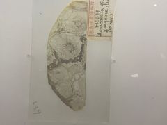 -湖南省地质博物馆