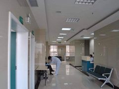 -康旭宠物医院(郑州总院)