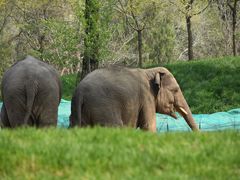 -北京野生动物园