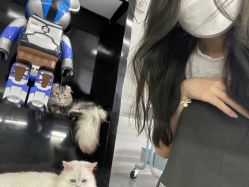 -新晨·SALON·形象造型