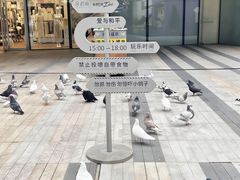 -中航城君尚购物中心