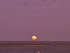 -南汇嘴观海公园