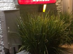 -In-N-Out Burger(LAX)