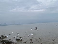 -深圳湾公园(南山区)
