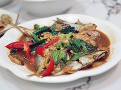 柯杂鱼-三碟海鲜餐厅(崇武店)