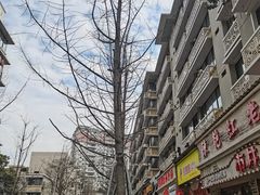 -奎星楼街
