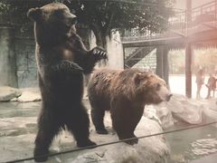 -灵玲国际马戏城