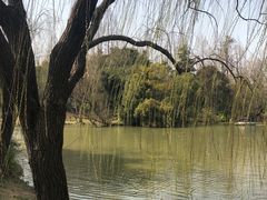 -上海滨江森林公园