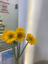 -MIDA蜜哒•科技逆龄美肤连锁