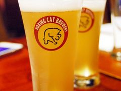 啤酒-Boxing Cat Brewery拳击猫精酿啤酒馆(永福店)