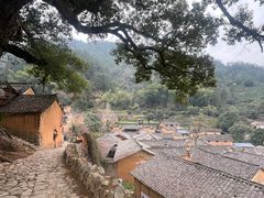 -杨家堂村