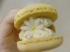 半熟花花马卡龙桂花半熟芝士味-好利来(奥林匹克购物广场店)