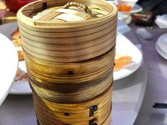 -云境生态园(高新旗舰店)