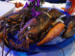 -半岛听涛蒸汽海鲜自助(K11店)