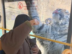 -栾川竹海野生动物园