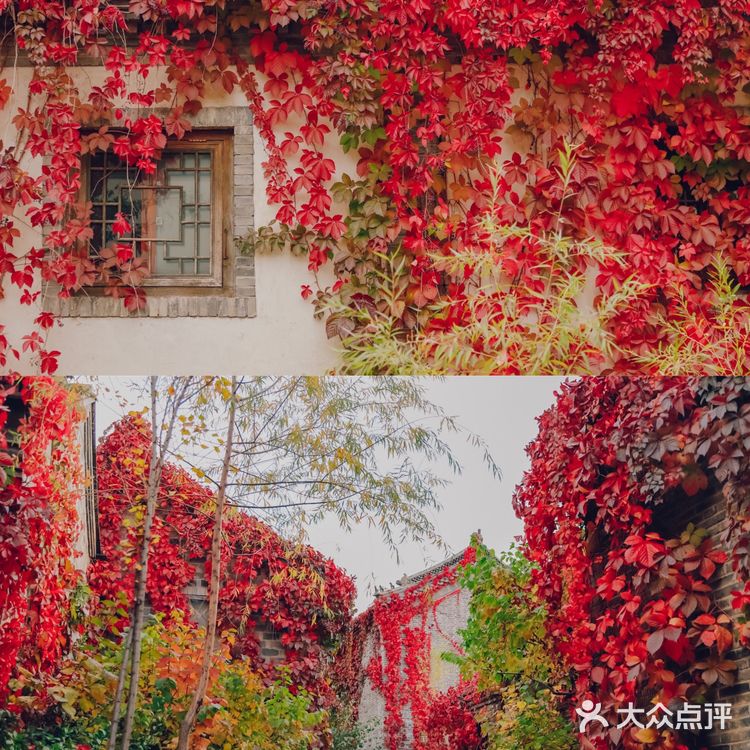 京郊团建|2h即可到达的最美红叶秋景·古北水镇