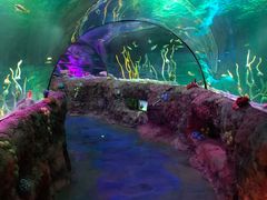 -沈阳海洋探索中心