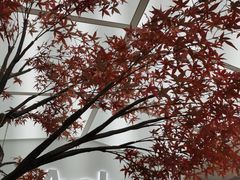 -艾薯夫妇Aysh(福田星河COCOPark店)