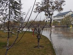-雁滩公园