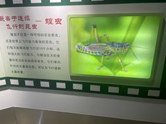 -上海昆虫博物馆
