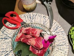 -杨小佳·齐齐哈尔烤肉·烤串(广州店)