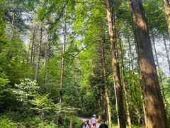 -罗田薄刀峰风景区