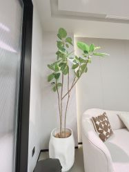-颜蕾医美·黄金微针·水光·玻尿酸·超声炮