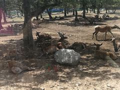 -西安秦岭野生动物园